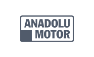 Anadolu Motor